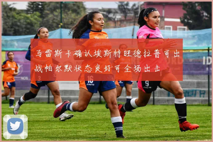 马雷斯卡确认埃斯特旺德拉普可出战帕尔默状态良好可全场出击